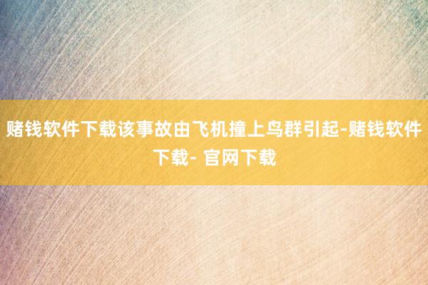 赌钱软件下载该事故由飞机撞上鸟群引起-赌钱软件下载- 官网下载