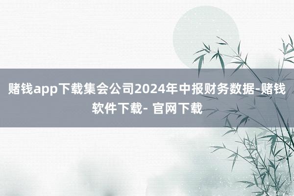 赌钱app下载集会公司2024年中报财务数据-赌钱软件下载- 官网下载