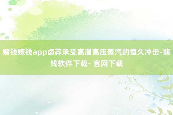 赌钱赚钱app卤莽承受高温高压蒸汽的恒久冲击-赌钱软件下载- 官网下载