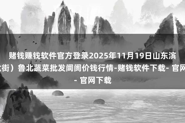 赌钱赚钱软件官方登录2025年11月19日山东滨州(六街）鲁北蔬菜批发阛阓价钱行情-赌钱软件下载- 官网下载